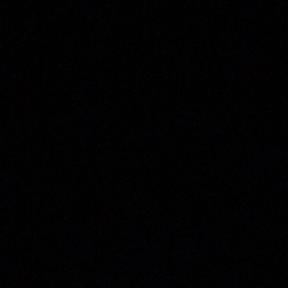 Meet your Posher, Zoey